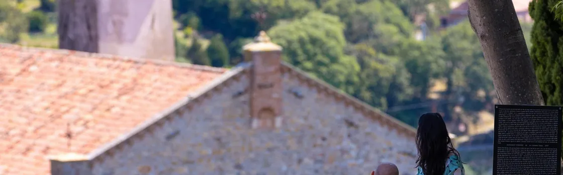 Arquà Petrarca Medieval Village Guided Tour from Padua