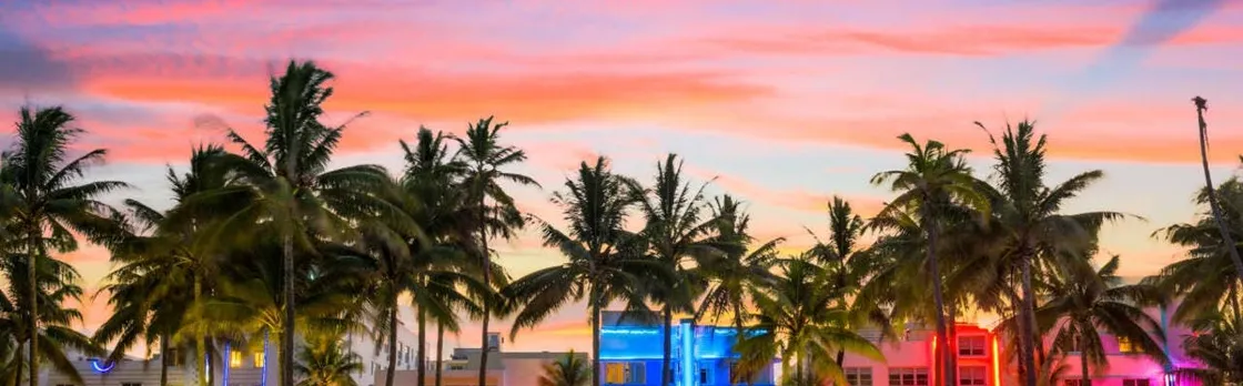 Scenic Miami night tour with Skyview Miami Wheel tickets