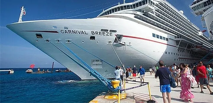 From Semarang port: Borobudur Temple excursion - Cruise Ship Traveler