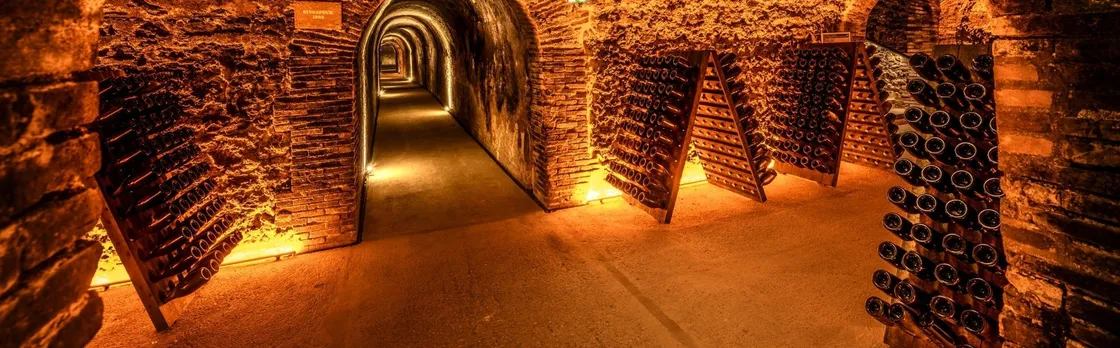 Cellar visit at Boizel Champagne House with Joyau tasting