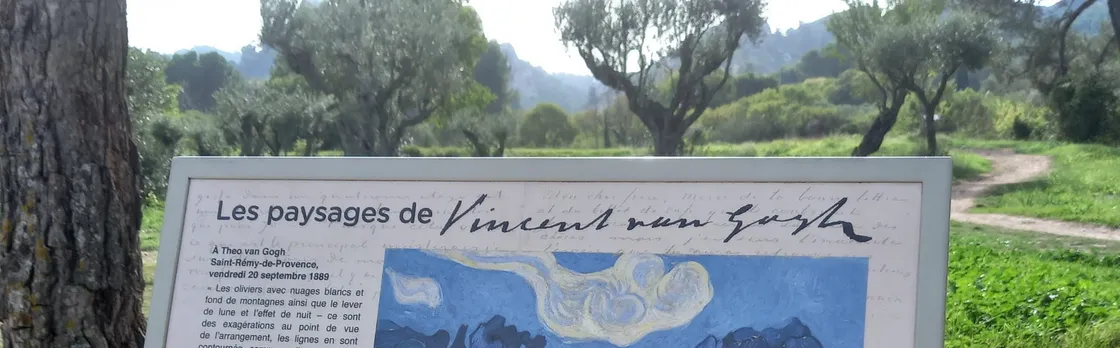 In the Footsteps of Van Gogh in Provence from Avignon
