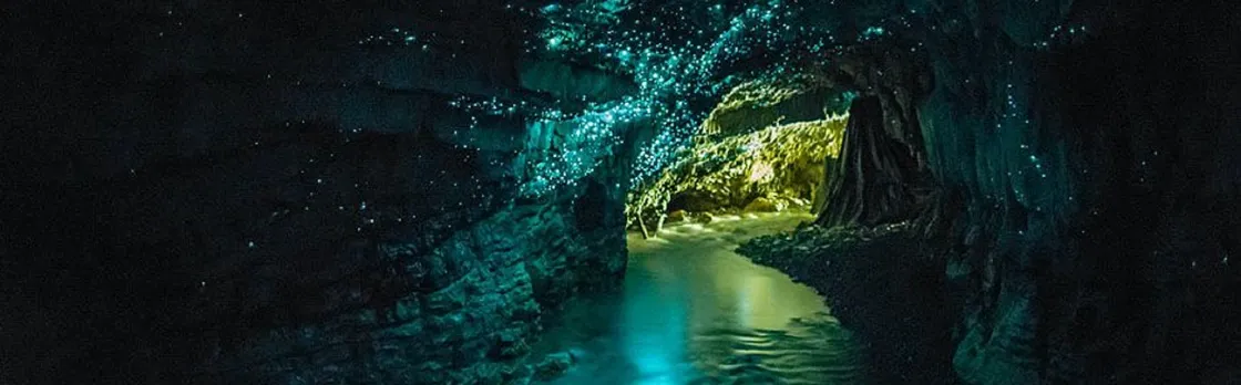 Waitomo Glowworm Cave Tour with Boat Ride