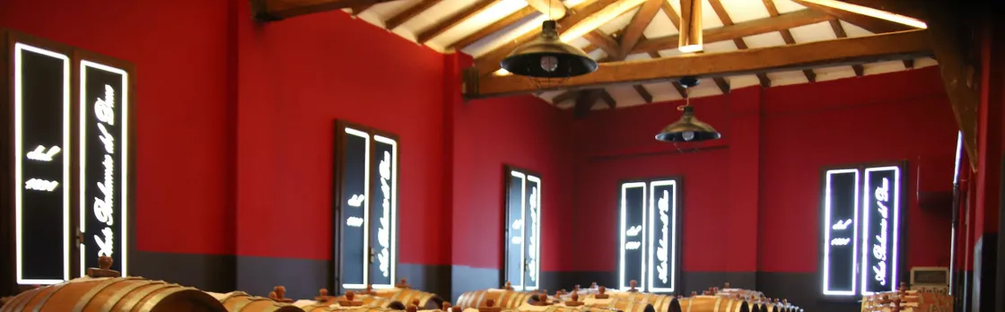 Tasting tour of balsamic vinegar of Modena at Aceto Balsamico del Duca