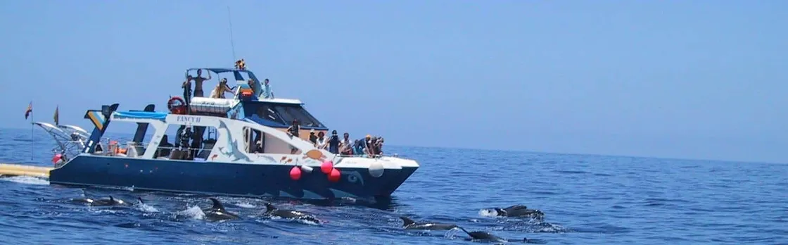 La Palma Coast Cruise with Transfer