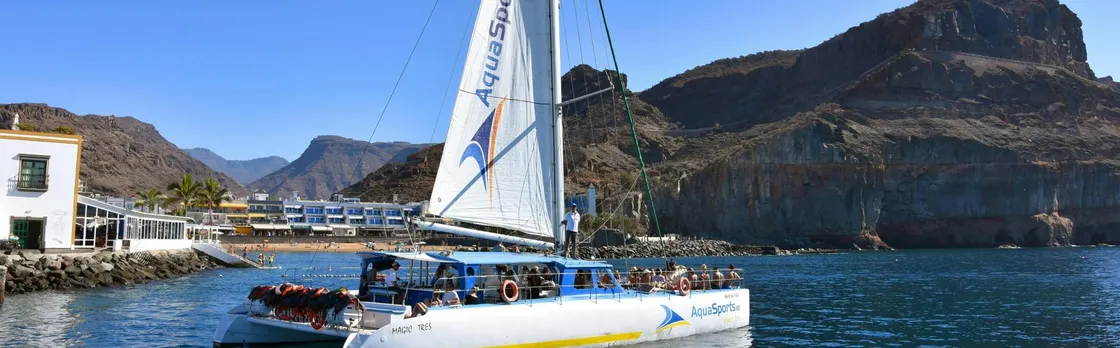 Combo catamaran sailing and off-road buggy tour