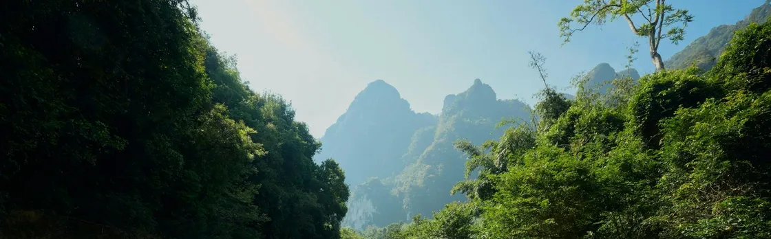 Full-day Khao Sok tour with elephant sanctuary and bamboo rafting