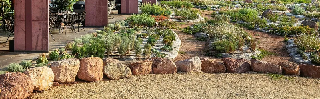 Guided vineyard tour with wine-tasting