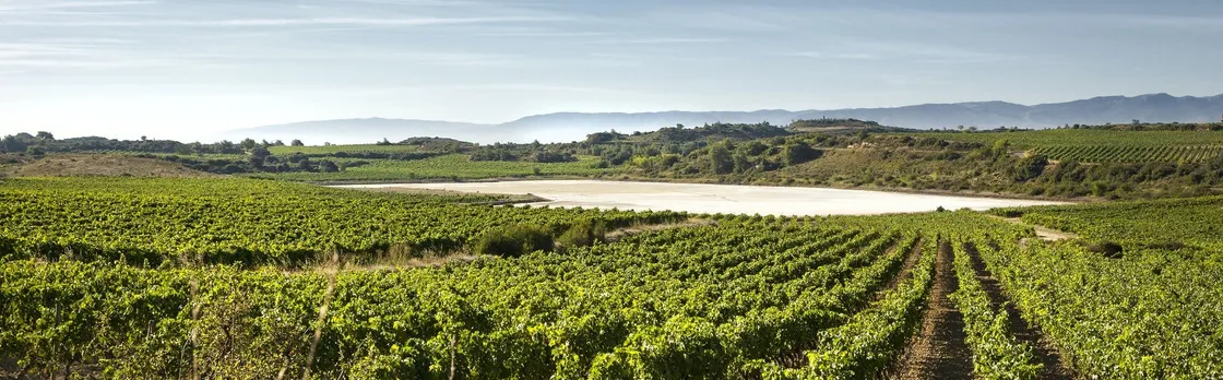 La Rioja winery visit from Bilbao with traditional lunch