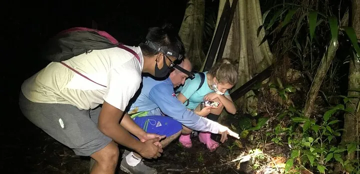 Manuel Antonio Jungle Night Tour