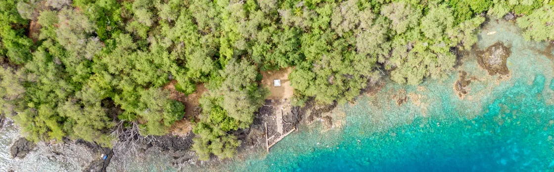 4-hour Kealakekua Bay snorkeling adventure