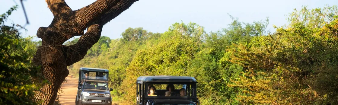 Yala National Park 4x4 safari with a local guide
