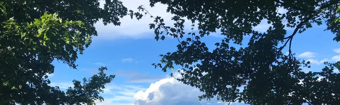 Ljubljana Tour