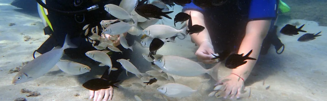 Discover scuba diving small group tour from Ayia Napa and Protaras
