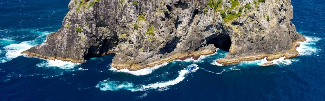 Small group day tour to Bay of Islands from Auckland