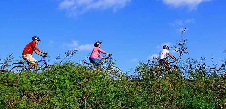 Half Day Village Cycling Tour in Yala: