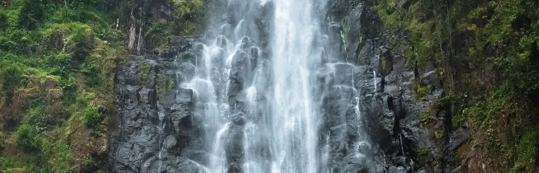 From Arusha: Materuni Village and Waterfall Day Tour