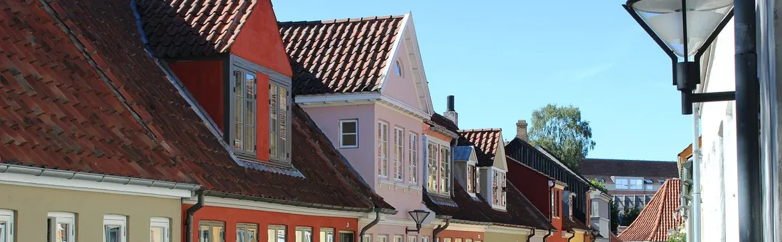 Odense private walking tour