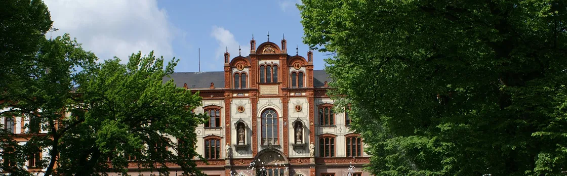 Private guided walking tour in Rostock