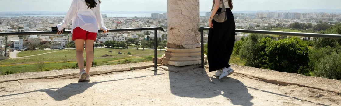 Ancient Carthage, Sidi Bou Said and Bardo Museum tour with lunch