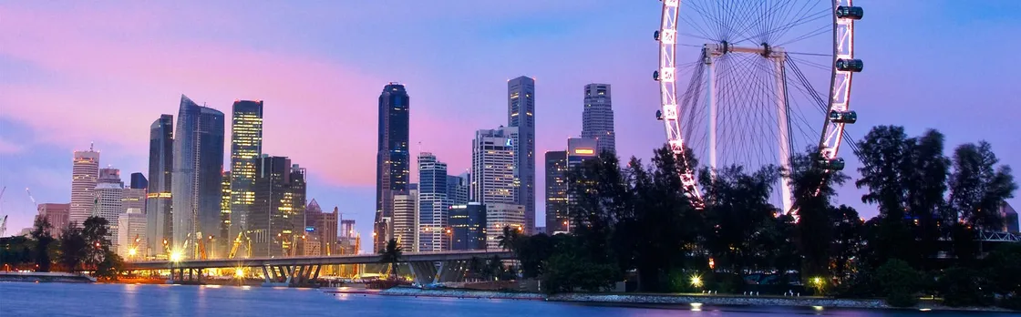 Singapore Flyer observation wheel and Time Capsule entry tickets