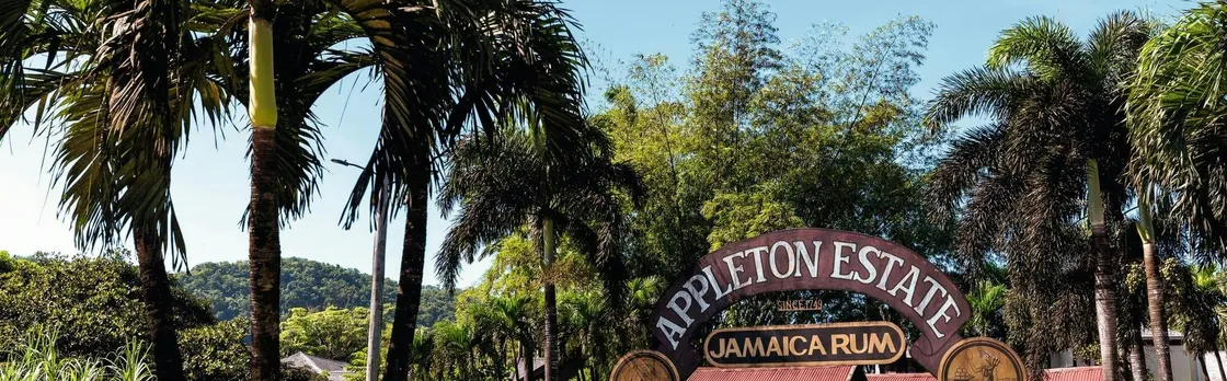 Appleton Rum tasting, YS Falls and Pelican Bar tour