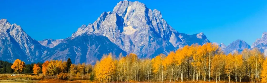 Grand Teton National Park Self-Guided Driving Tour