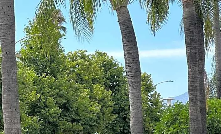 Garden Inn San Gabriel