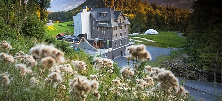 Hotel Wetterhorn