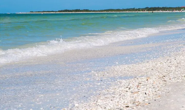 San Marco Residences 508