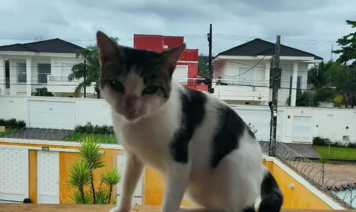 Pousada do Marco Guaruj