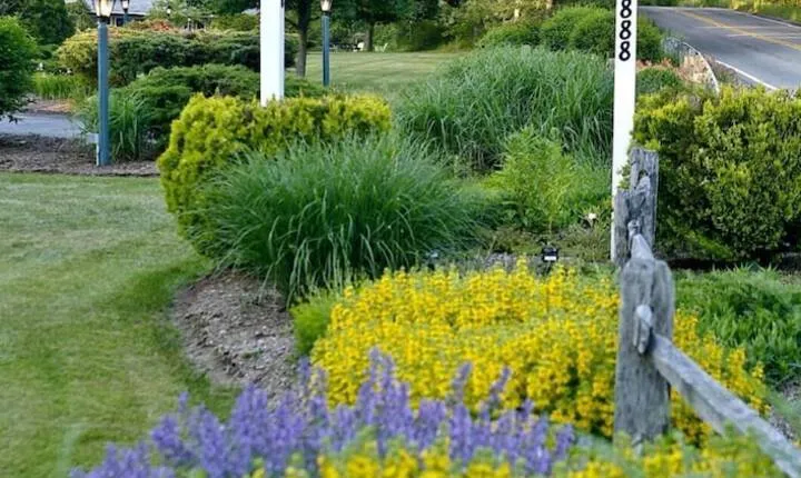 Handkerchief Shoals Inn