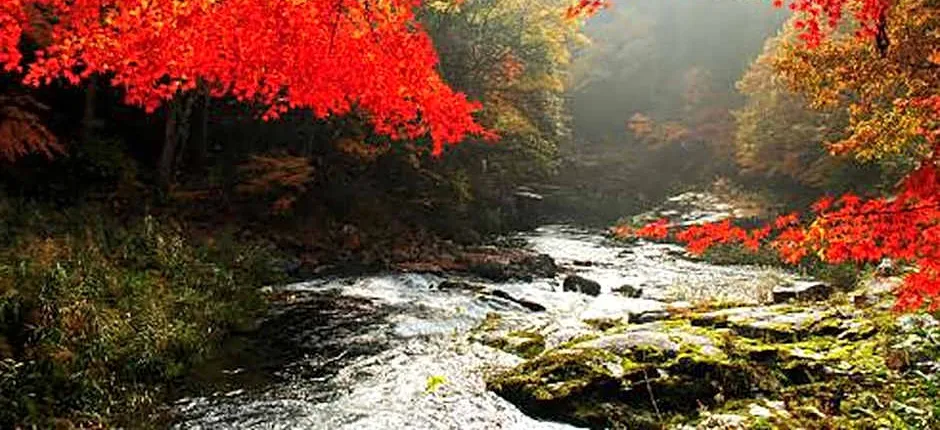 Yasashisanoyado Chikutei