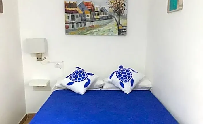 Apartamentos Playamar II