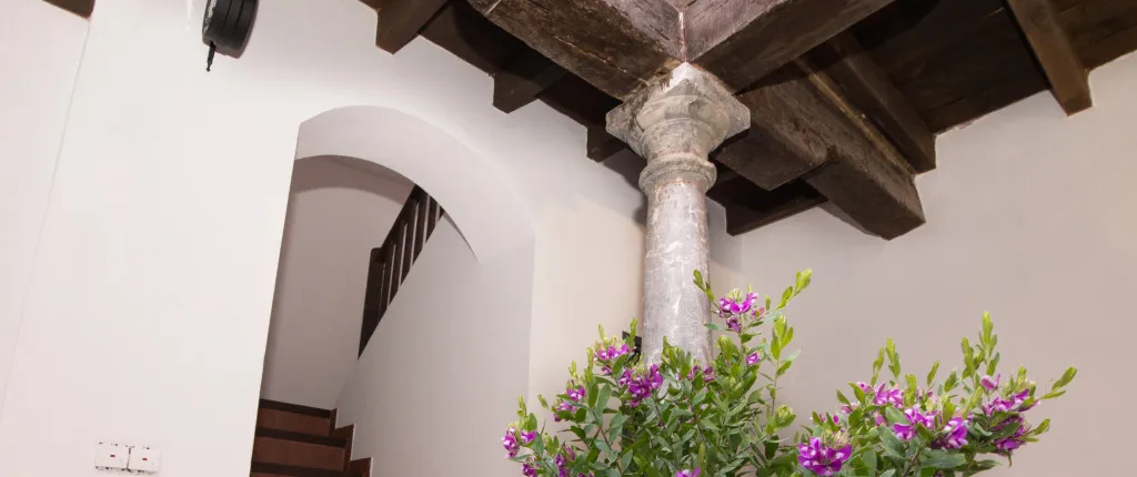 Apartamentos Nahira Suites 3000