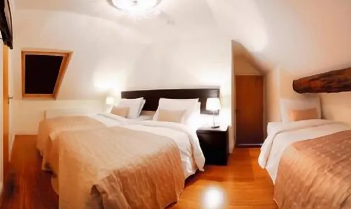 Elephant Guest House