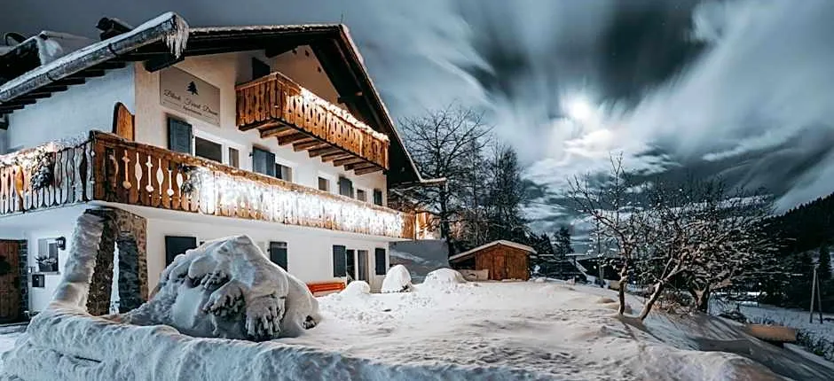Black Forest Dream Apartments
