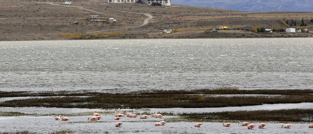 Edenia Punta Soberana