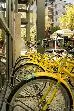 Watertown Hotel - A Staypineapple Hotel