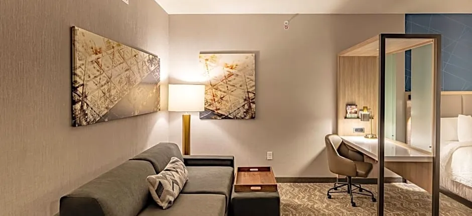 SpringHill Suites by Marriott Dallas McKinney/Allen