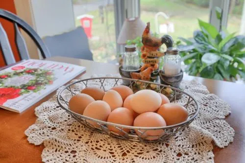 Hammer Creek Hideaway Bed & Breakfast