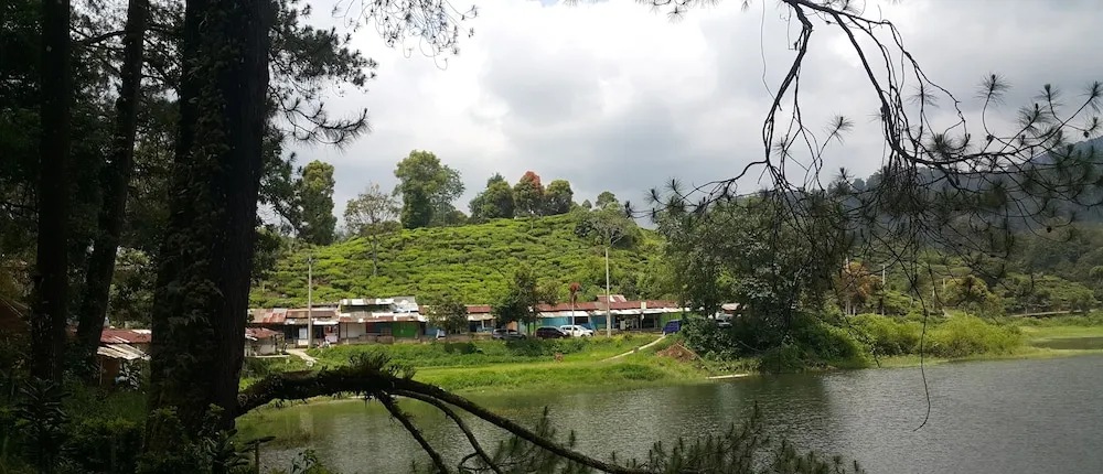 Argapuri Jungle Resort
