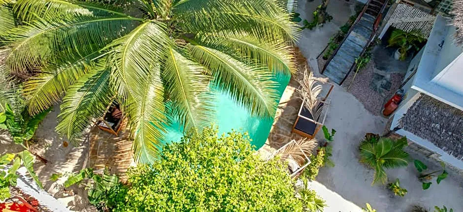 Ocean Boho House