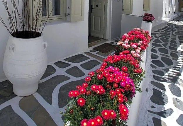 Fresh Boutique Hotel