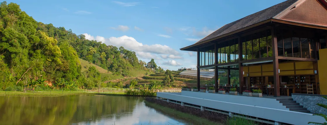 Onsen at Moncham