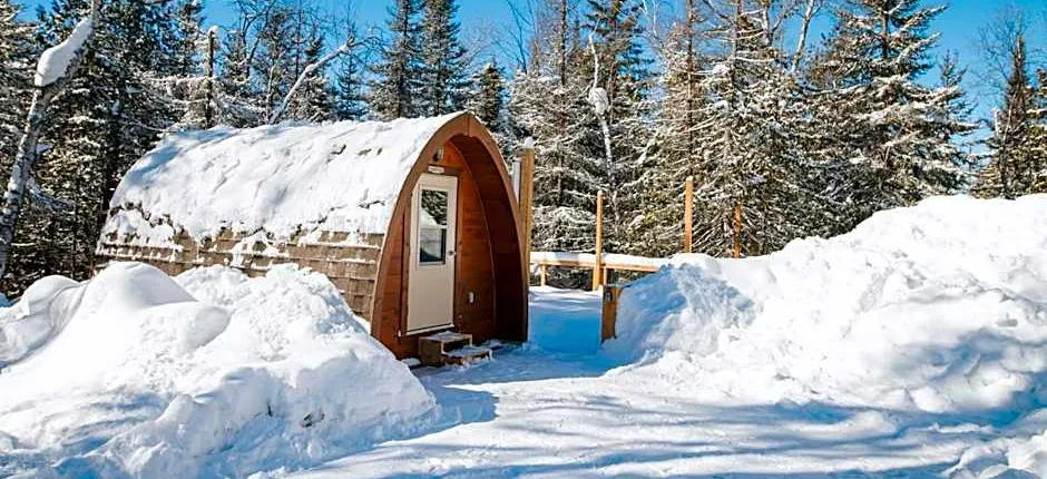 Entre Lemoine et l'arbre