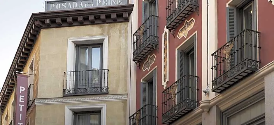 Petit Palace Posada Del Peine