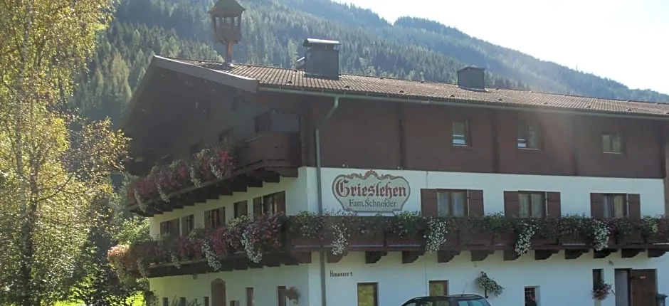 Bauernhof Grieslehen