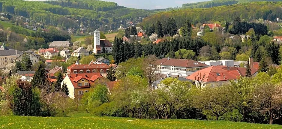 Hotel Rosner