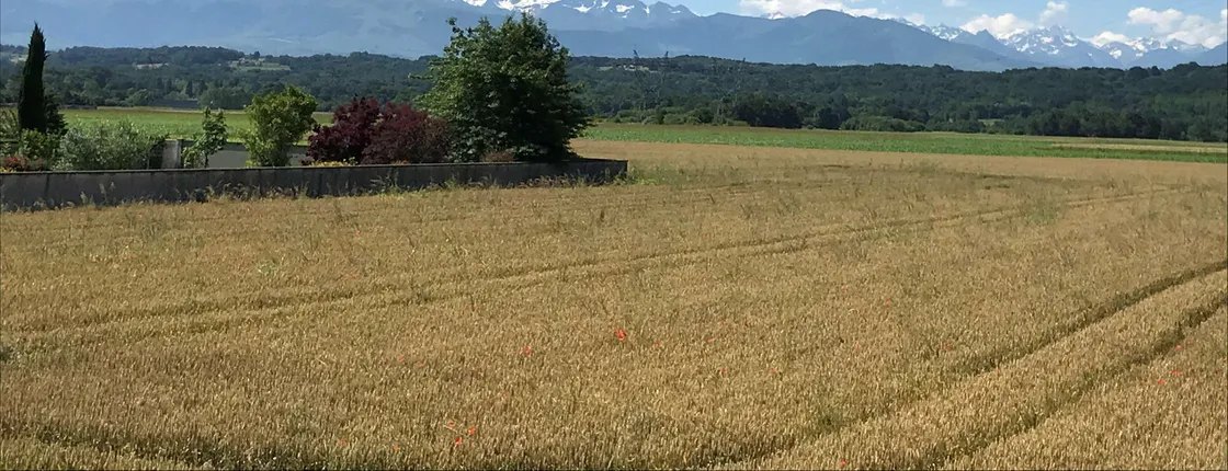 Kyriad Tarbes Odos