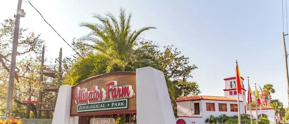 Island House - St. Augustine